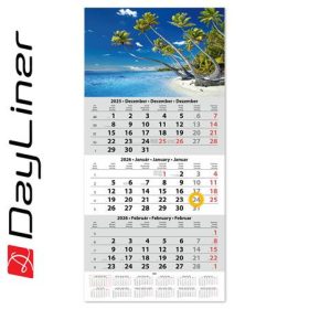   Naptár, speditőr, három hónapos, egy tömbös, DAYLINER (NSPED1H3U)