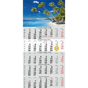   Naptár, speditőr, öt hónapos, egy tömbös, DAYLINER (NSPED1H5U)