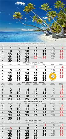 Naptár, speditőr, öt hónapos, egy tömbös, DAYLINER (NSPED1H5U)