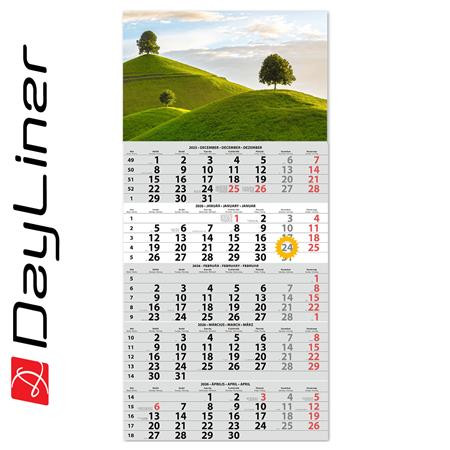 Naptár, speditőr, öt hónapos, egy tömbös, DAYLINER (NSPED1H5U)