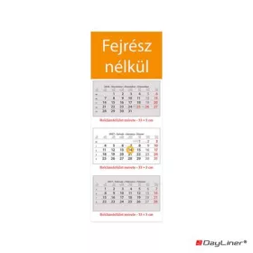   Naptár, speditőr, három hónapos, három tömbös, üres fejrész, DAYLINER (NSPED3FU10U)