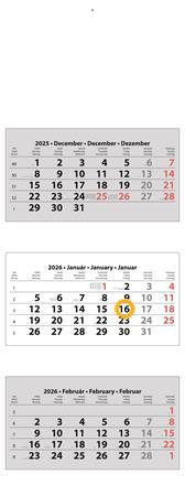 Naptár, speditőr, három hónapos, három tömbös, üres fejrész, DAYLINER (NSPED3FU10U)