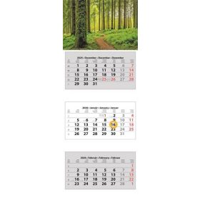   Naptár, speditőr, három hónapos, három tömbös, DAYLINER (NSPED3H3U)