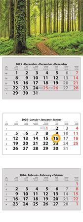 Naptár, speditőr, három hónapos, három tömbös, DAYLINER (NSPED3H3U)