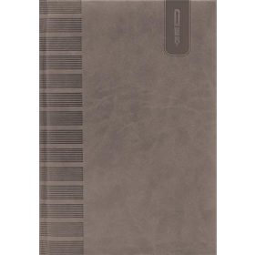 Tárgyalási napló, B5, DAYLINER, Tucson, szürke (NTTB5SZ)