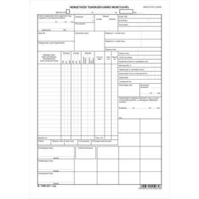   Nyomtatvány, nemzetközi tehergépjármű menetlevél, A3, VICTORIA PAPER B.7300-237 (NVB7300237)