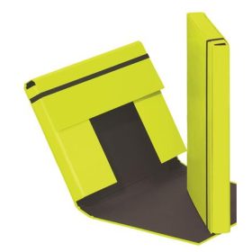  Füzetbox, A4, 40 mm, karton, PAGNA Trend, lime zöld (PG2130817)