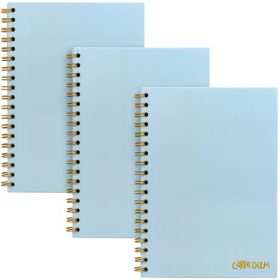   Spirálfüzet, B5, vonalas, 80 lap, FSC, PUKKA PAD Carpe Diem, égszínkék (PUP9378)