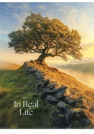 Füzet, tűzött, A4, vonalas, 40 lap, SHKOLYARYK In Real Life, vegyes (SB405249L)