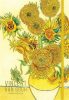 Skiccfüzet, A5, pontrácsos, 80 lap, keményfedeles, SHKOLYARYK, Klimt&Van Gogh, vegyes (SB80359D)