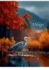 Füzet, tűzött, A4, vonalas, 80 lap, SHKOLYARYK Colorful Magic, vegyes (SB805263L)