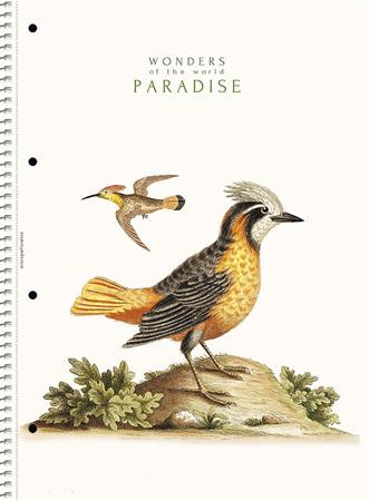 Spirálfüzet, A4, vonalas, 80 lap, SHOLYARYK College Block Wonders, vegyes (SB80991L)