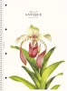 Spirálfüzet, A4, vonalas, 80 lap, SHOLYARYK College Block Wonders, vegyes (SB80991L)