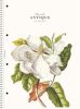 Spirálfüzet, A4, vonalas, 80 lap, SHOLYARYK College Block Wonders, vegyes (SB80991L)