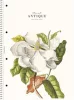 Spirálfüzet, A4, vonalas, 80 lap, SHOLYARYK College Block Wonders, vegyes (SB80991L)