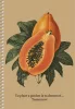 Spirálfüzet, A5, sima, 96 lap, SHKOLYARYK We Grow, vegyes (SB966148)