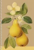 Spirálfüzet, A5, sima, 96 lap, SHKOLYARYK We Grow, vegyes (SB966148)
