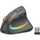 Egér, vezeték nélküli, optikai, vertikális, USB, SPEEDLINK Piavo Pro, fekete (SLEPPBK)