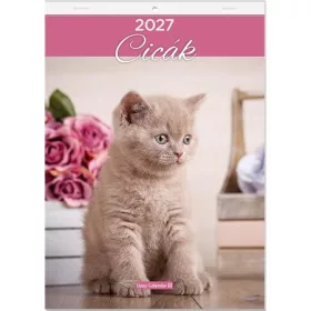 Falinaptár, A4, LIZZYCALENDAR Cicák (TICLCFNCI)