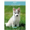 Falinaptár, A4, LIZZYCALENDAR Kutyák (TICLCFNKU)