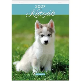 Falinaptár, A4, LIZZYCALENDAR Kutyák (TICLCFNKU)