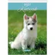 Falinaptár, A4, LIZZYCALENDAR Kutyák (TICLCFNKU)