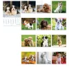 Falinaptár, A4, LIZZYCALENDAR Kutyák (TICLCFNKU)