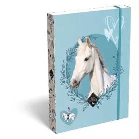   Füzetbox, A5, LIZZYSULI, Wild Beauty, Sport Club (TICLFBWBA5)