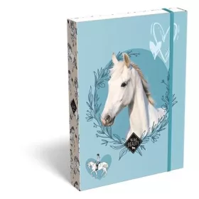   Füzetbox, A5, LIZZYSULI, Wild Beauty, Sport Club (TICLFBWBA5)