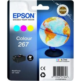   T2670 Tintapatron WorkForce WF-100W nyomtatóhoz, EPSON, színes, 6,7ml (TJE2670)
