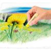 Porkréta, STAEDTLER 2430, 24 különböző szín (TS24030C24)