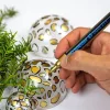 Lakkmarker, 1-2 mm, SCHNEIDER Maxx 271, zöld (TSC271Z)