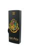 Pendrive, 32GB, USB 2.0, EMTEC Harry Potter Hogwarts (UE32GHPH)