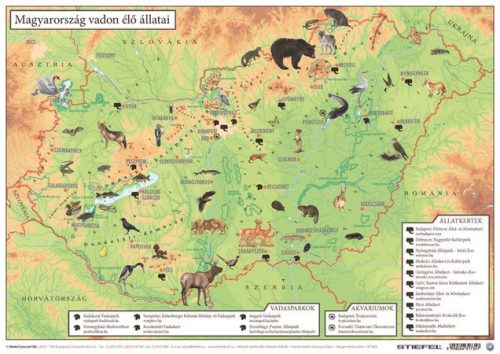 Könyökalátét, kétoldalas, A3, STIEFEL Magyarország vadon élő állatai / Magyarország állatvilága (VTKA304)