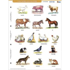   Tanulói munkalap, A4, STIEFEL A ház körül élő állatok (VTM89)